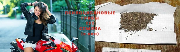 гашик Алексин