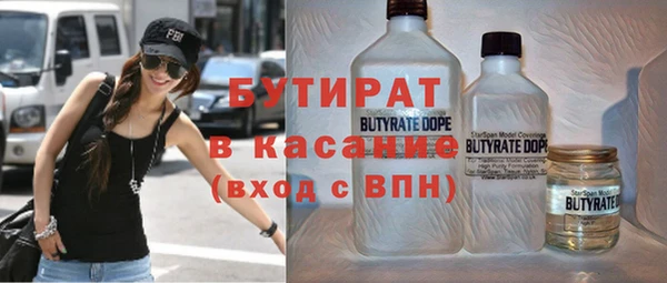 гашик Алексин