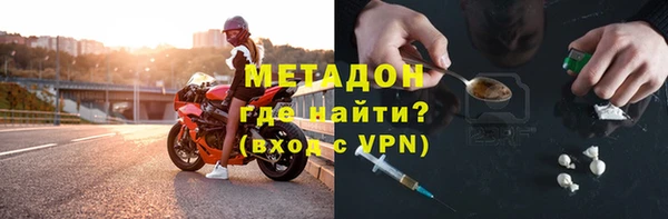 гашик Алексин