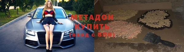 гашик Алексин