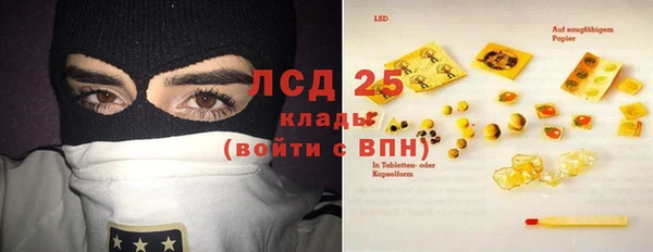 гашик Алексин