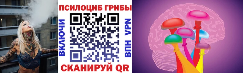 Псилоцибиновые грибы Psilocybe ОМГ ОМГ ССЫЛКА Арзамас