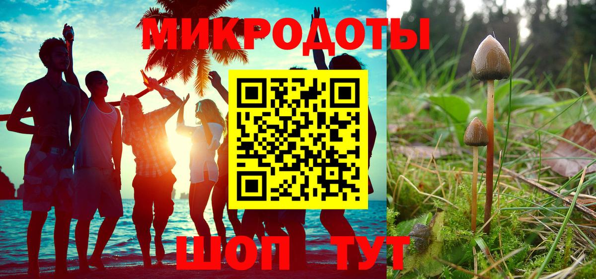 Арзамас  Галлюциногенные грибы Psilocybine cubensis  Вход с VPN  Галлюциногенные грибы мицелий 