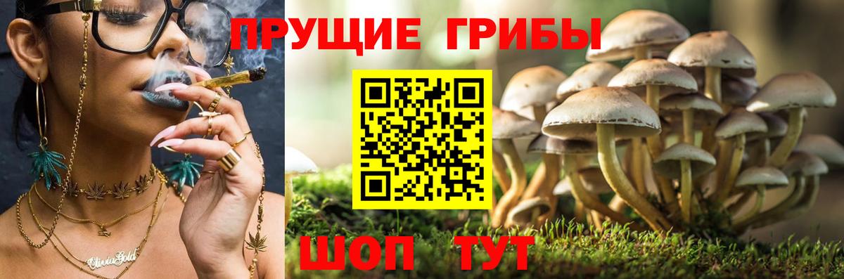Псилоцибиновые грибы Magic Shrooms Арзамас