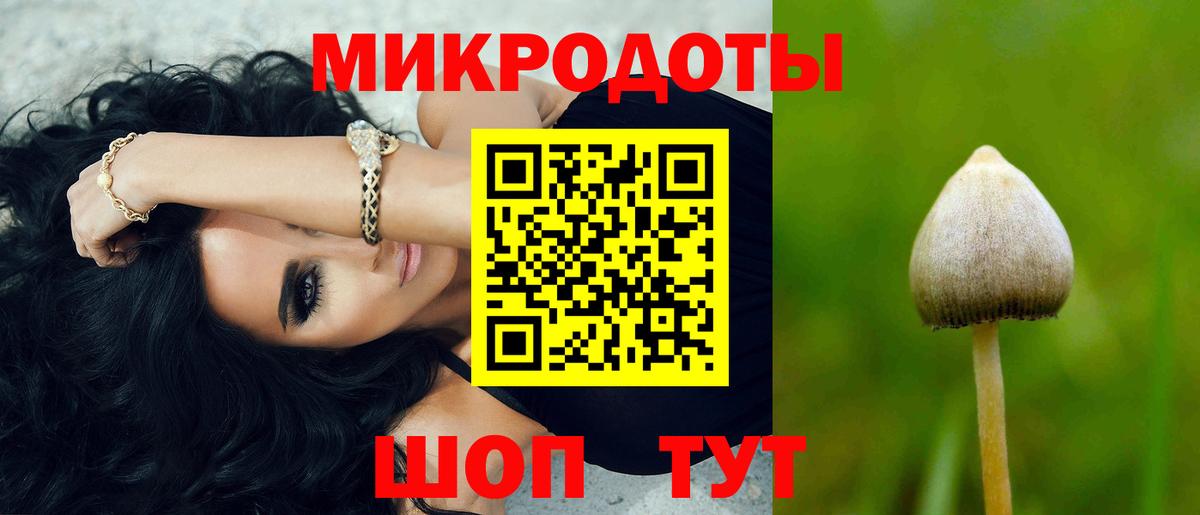 A-PVP Арзамас