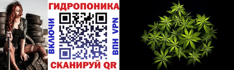 Шишки марихуана конопля  где купить   Арзамас 